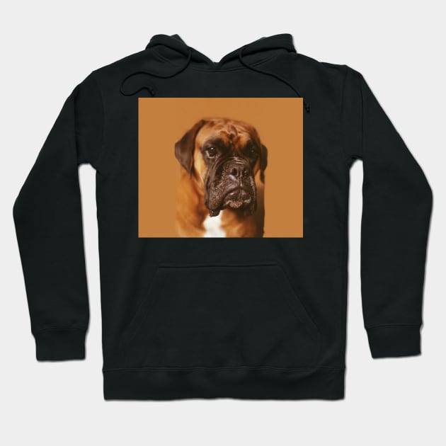 Quino the boxer. Hoodie by robelf